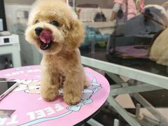 -Oh My Dog宠物沙龙(伊珊娜皮毛护理店)