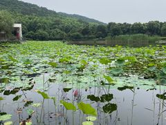 -苏州环秀晓筑养生度假村