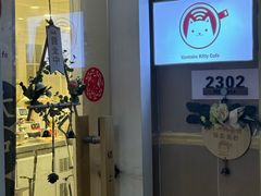 -楼上猫咖(罗湖店)