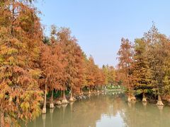 -海珠湖公园