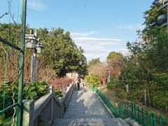 -乌山风景区
