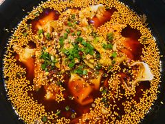 -红辣椒·川菜·火锅(张杨路店)