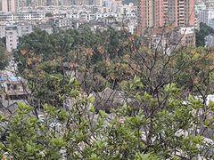 -佛山华盖山公园