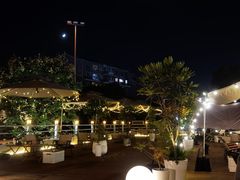-芸鲜季·云南野生菌餐厅· 云南风物味研社(闵行店)