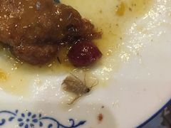 -阿殳菜馆·私厨(水围村店)