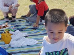 -春花秋色城市公园