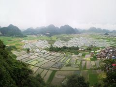 -会仙湿地