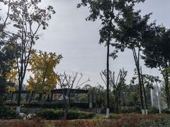 -成飞公园