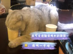 -Mr.Fox狐狸先生超级密室(南山店)