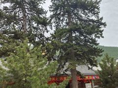 -五台山风景名胜区