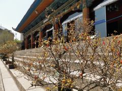 -西宁市东关清真大寺