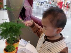 -凯德广场(学府店)