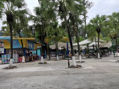 -重庆海昌加勒比海水世界