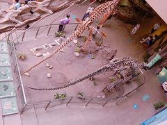 -陕西自然博物馆