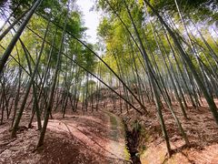 -鹿亭中村
