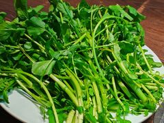 -海南人酒家·白切文昌鸡·二十三年老字号(水荫路店)