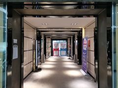 -啄木鸟美国留学(顺城东塔店)