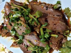 -重庆火锅水库鱼庄(南油店)