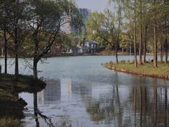 -新洲生态园