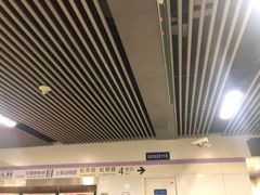 -上海动物园(地铁站)