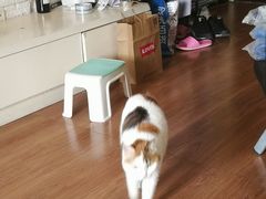 -中农国际动物医院24小时·猫科·骨科·急重症中心