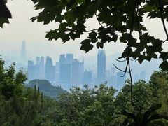 -大金鹰园