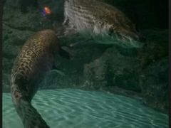-常州海昌海洋探索馆
