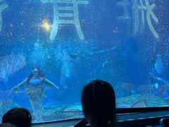 -海合安成都极地海洋公园