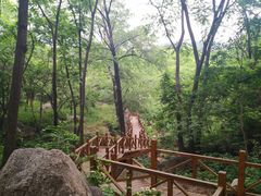 -大岭沟猕猴桃谷风景区