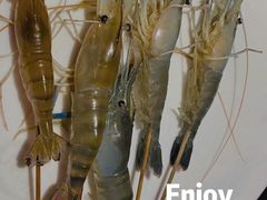 -千岛蚝高压锅生蚝·人参火锅(白云万达店)