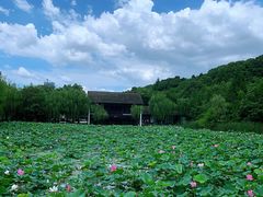 -石榴院子(西施故里店)