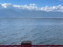 -洱海月湿地公园