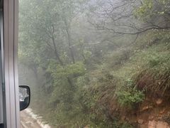 -黄金寨原生态旅游区