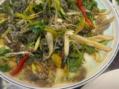 -老苏扬饭店