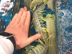 -盒马鲜生(皇庭广场店)