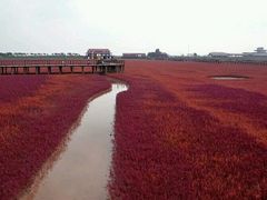 -红海滩国家风景廊道