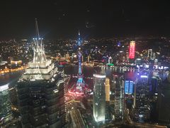 -The lounge 柏悦酒店大堂酒廊(上海环球金融中心店)