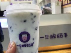 -一只酸奶牛(八一路店)