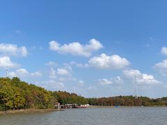 -上海海湾国家森林公园