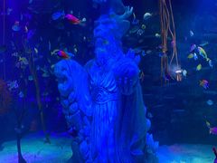 -沈阳海洋探索中心