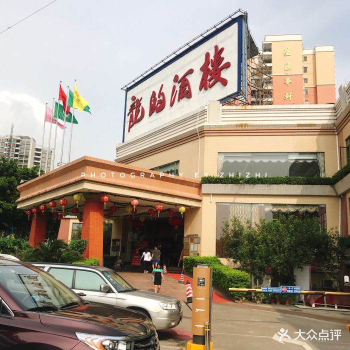 龙的酒楼图片