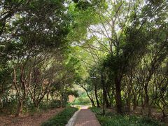 -龙城公园-停车场