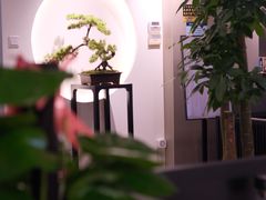 -席仁堂推拿按摩脊柱调理(世纪科贸大厦店)