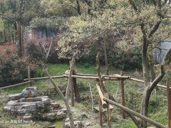 -合肥野生动物园