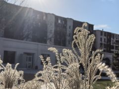 -春晖园度假酒店温泉