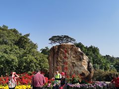 -华南国家植物园-售票处