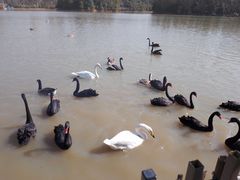 -艾溪湖湿地公园