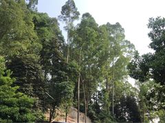 -火炉山森林公园