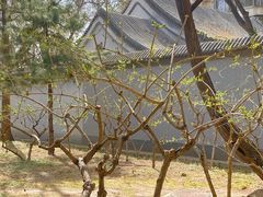 -玲珑塔公园