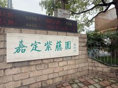 -嘉定紫藤园